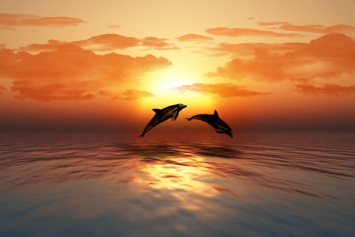 a sunset over a body of water