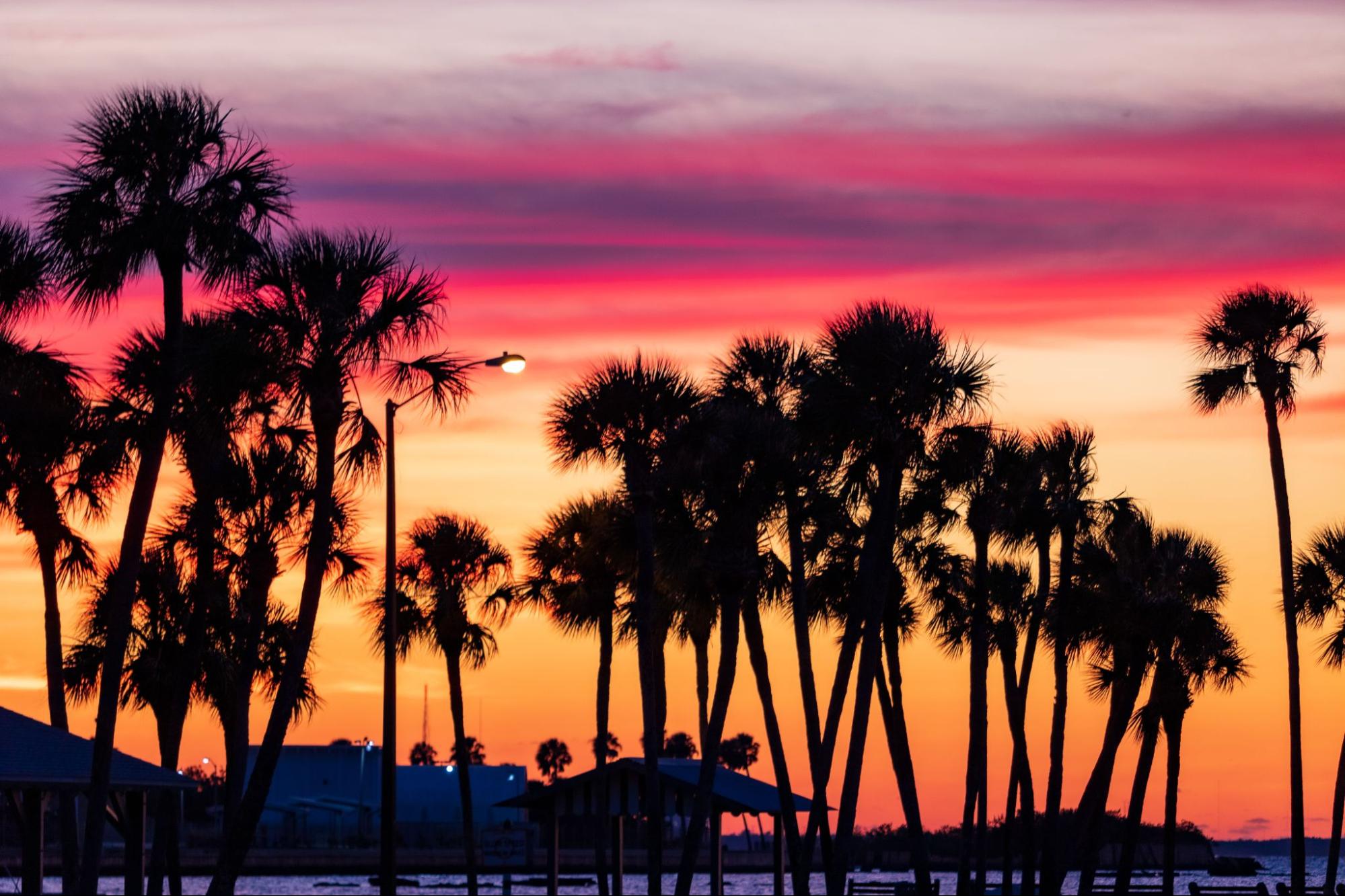  A stunning beach sunset with palm trees silhouetted against an orange sky, accented with vibrant purple and red hues.