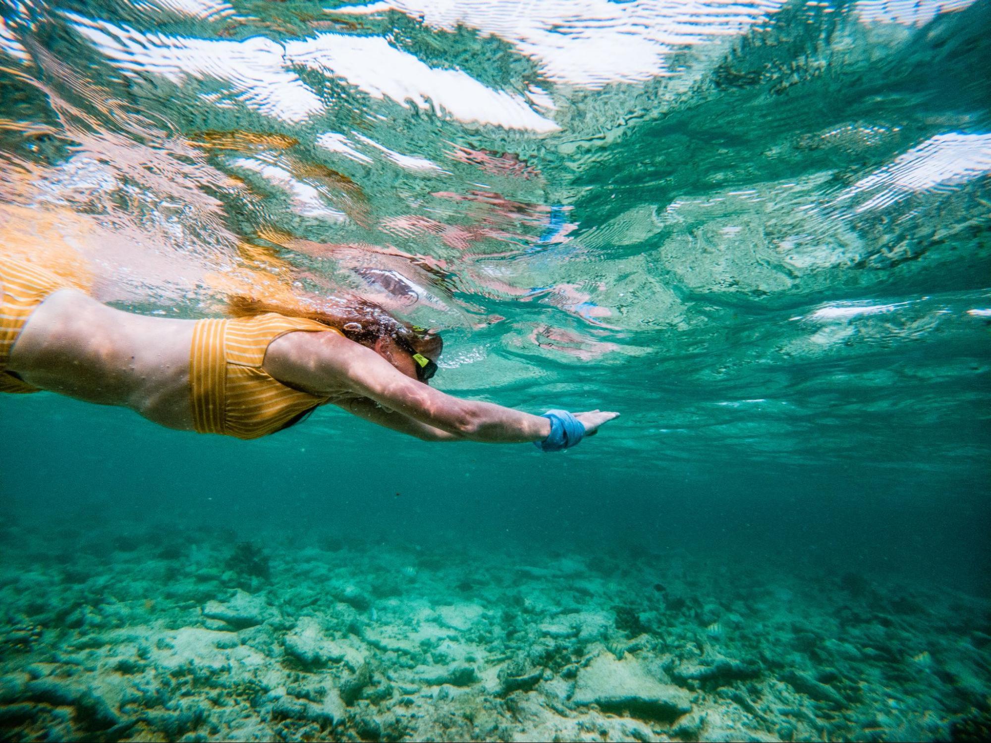 Woman snorkeling underwater.